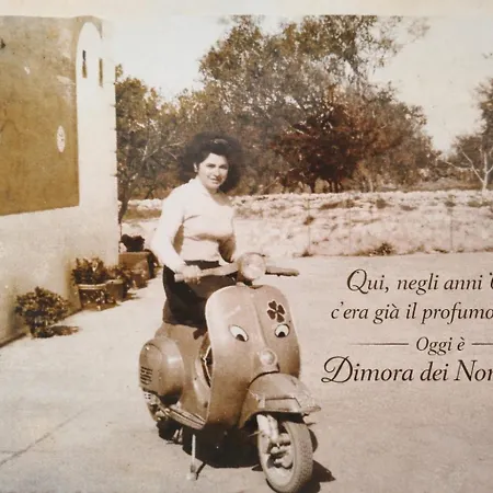 住宿加早餐酒店 Dimora Dei Nonni 199 莫诺波利