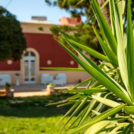 Dimora Dei Nonni 199 Monopoli